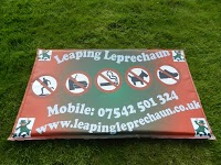 Leaping Leprechaun   Bouncy Castle and soft play Hire chesterfield 1069873 Image 5